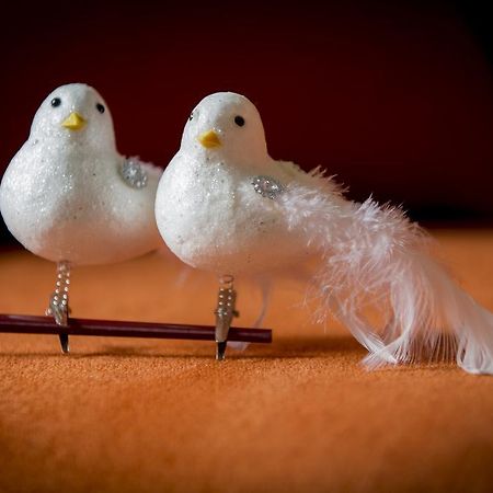 Two White Pigeons Βίλα Υπρ Δωμάτιο φωτογραφία